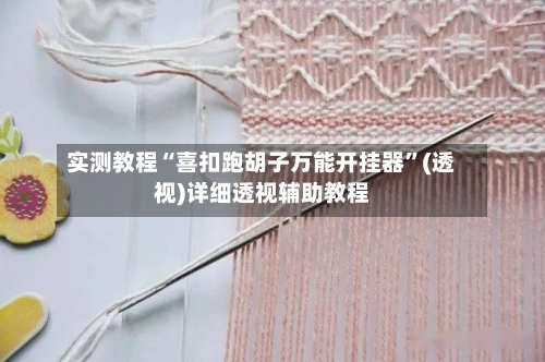 实测教程“喜扣跑胡子万能开挂器	”(透视)详细透视辅助教程-第3张图片