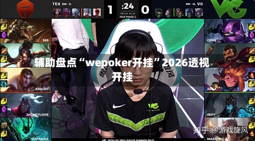 辅助盘点“wepoker开挂”2026透视开挂-第2张图片