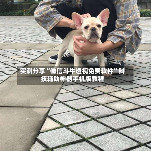 实测分享“微信斗牛透视免费软件”科技辅助神器手机版教程-第3张图片