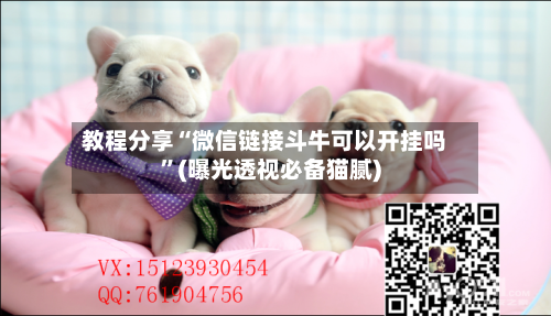 教程分享“微信链接斗牛可以开挂吗	”(曝光透视必备猫腻)-第2张图片