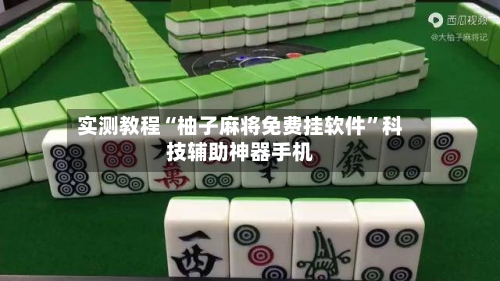 实测教程“柚子麻将免费挂软件”科技辅助神器手机-第3张图片