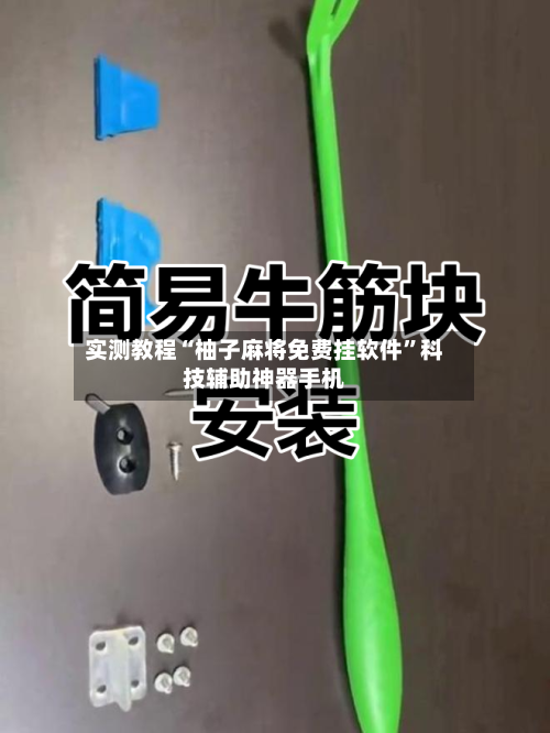 实测教程“柚子麻将免费挂软件”科技辅助神器手机-第2张图片