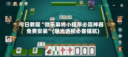 今日教程“微乐麻将小程序必赢神器免费安装”(曝光透视必备猫腻)-第3张图片