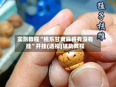 实测教程“桃乐甘肃麻将有没有挂”开挂(透视)辅助教程-第2张图片