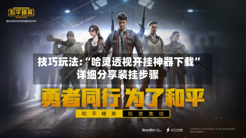 技巧玩法:“哈灵透视开挂神器下载”详细分享装挂步骤-第2张图片