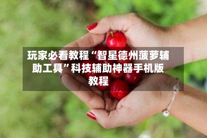 玩家必看教程“智星德州菠萝辅助工具”科技辅助神器手机版教程