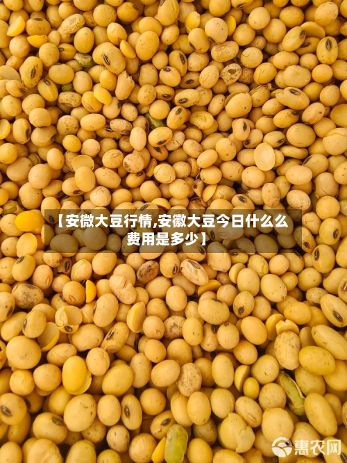【安微大豆行情,安徽大豆今日什么么费用是多少】-第2张图片