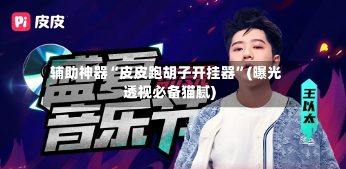 辅助神器“皮皮跑胡子开挂器	”(曝光透视必备猫腻)-第2张图片