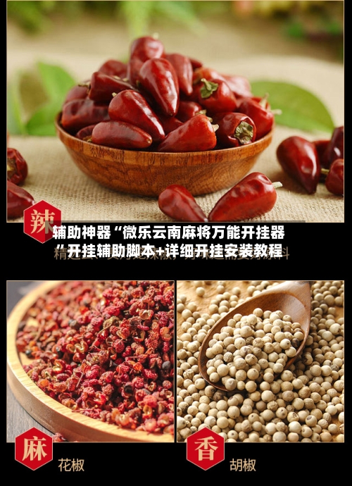 辅助神器“微乐云南麻将万能开挂器”开挂辅助脚本+详细开挂安装教程