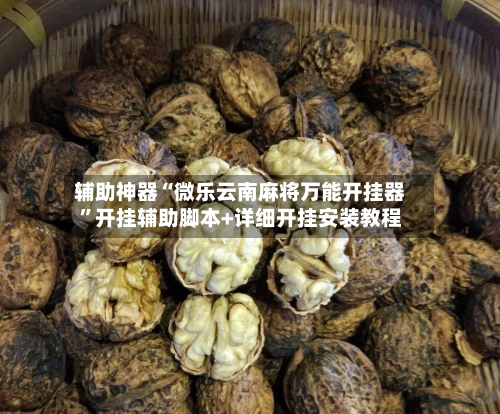辅助神器“微乐云南麻将万能开挂器”开挂辅助脚本+详细开挂安装教程-第2张图片