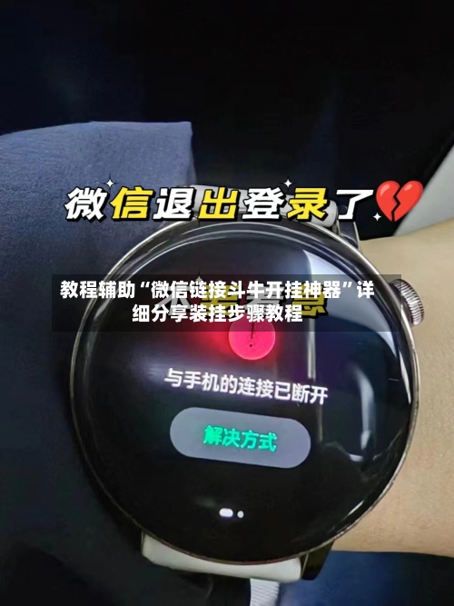 教程辅助“微信链接斗牛开挂神器	”详细分享装挂步骤教程-第2张图片