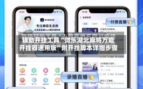 辅助开挂工具“微乐湖北麻将万能开挂器通用版”附开挂脚本详细步骤