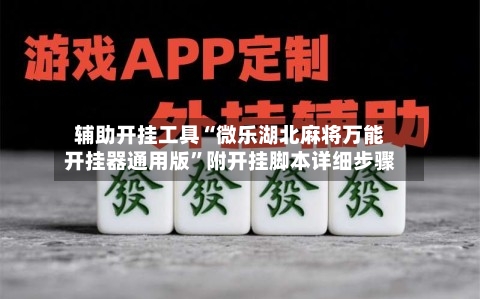 辅助开挂工具“微乐湖北麻将万能开挂器通用版”附开挂脚本详细步骤-第3张图片