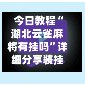 今日教程“湖北云雀麻将有挂吗	”详细分享装挂步骤-第3张图片