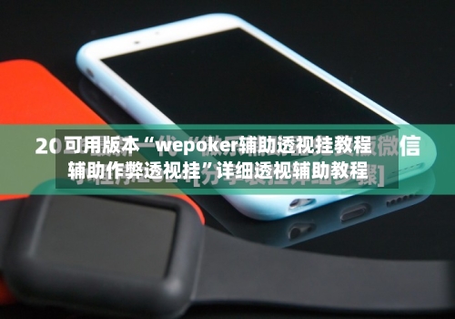 可用版本“wepoker辅助透视挂教程辅助作弊透视挂”详细透视辅助教程-第2张图片