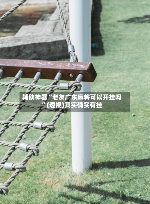 辅助神器“老友广东麻将可以开挂吗”(透视)其实确实有挂-第2张图片
