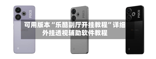 可用版本“乐酷副厅开挂教程	”详细外挂透视辅助软件教程-第2张图片