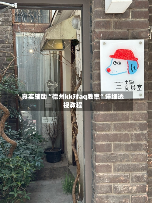 真实辅助“德州kk对aq胜率”详细透视教程-第3张图片
