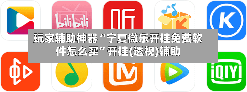 玩家辅助神器“宁夏微乐开挂免费软件怎么买	”开挂(透视)辅助-第3张图片
