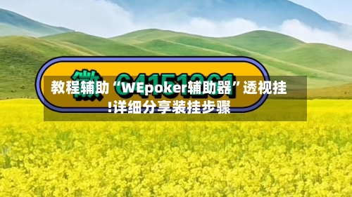 教程辅助“WEpoker辅助器”透视挂!详细分享装挂步骤-第2张图片