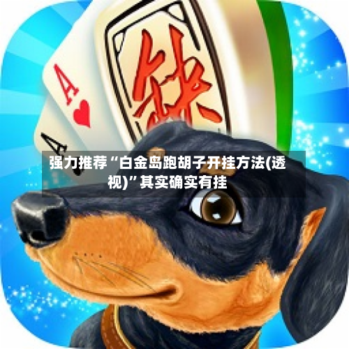 强力推荐“白金岛跑胡子开挂方法(透视)	”其实确实有挂-第2张图片