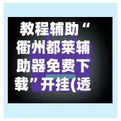 教程辅助“衢州都莱辅助器免费下载	”开挂(透视)辅助-第2张图片