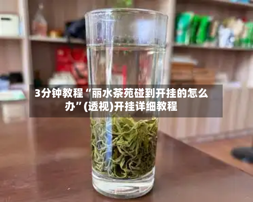 3分钟教程“丽水茶苑碰到开挂的怎么办”(透视)开挂详细教程-第2张图片