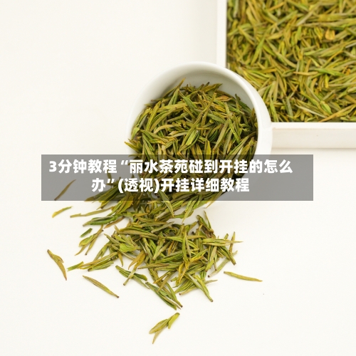 3分钟教程“丽水茶苑碰到开挂的怎么办	”(透视)开挂详细教程-第3张图片