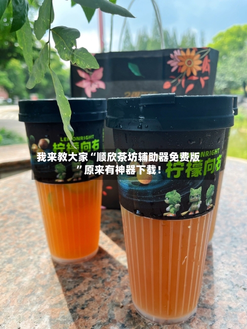 我来教大家“顺欣茶坊辅助器免费版”原来有神器下载！-第2张图片