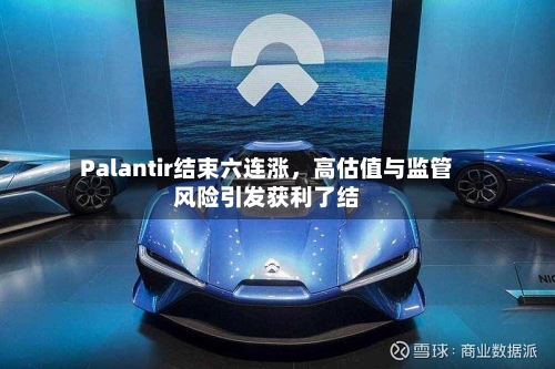 Palantir结束六连涨，高估值与监管风险引发获利了结-第3张图片