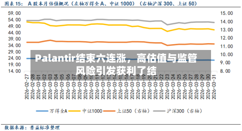 Palantir结束六连涨	，高估值与监管风险引发获利了结-第2张图片