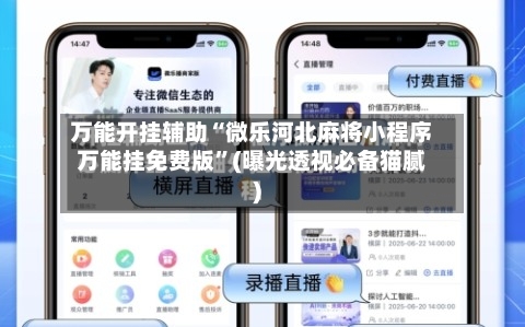 万能开挂辅助“微乐河北麻将小程序万能挂免费版”(曝光透视必备猫腻)-第2张图片