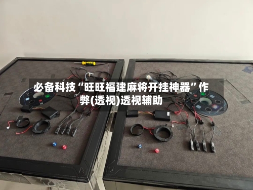 必备科技“旺旺福建麻将开挂神器”作弊(透视)透视辅助-第3张图片