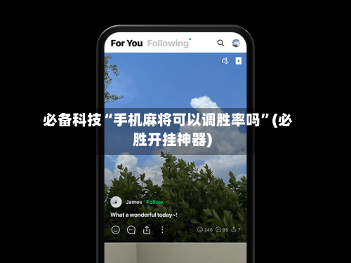 必备科技“手机麻将可以调胜率吗”(必胜开挂神器)-第3张图片