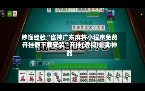 秒懂经验“雀神广东麻将小程序免费开挂器下载安装	”开挂(透视)辅助神器-第2张图片