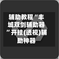 辅助教程“丰城双剑辅助器”开挂(透视)辅助神器
