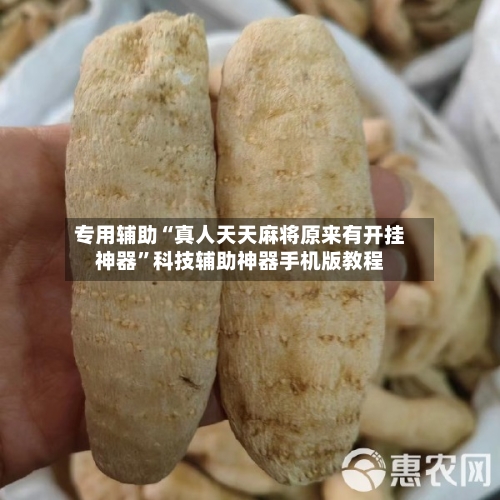 专用辅助“真人天天麻将原来有开挂神器”科技辅助神器手机版教程