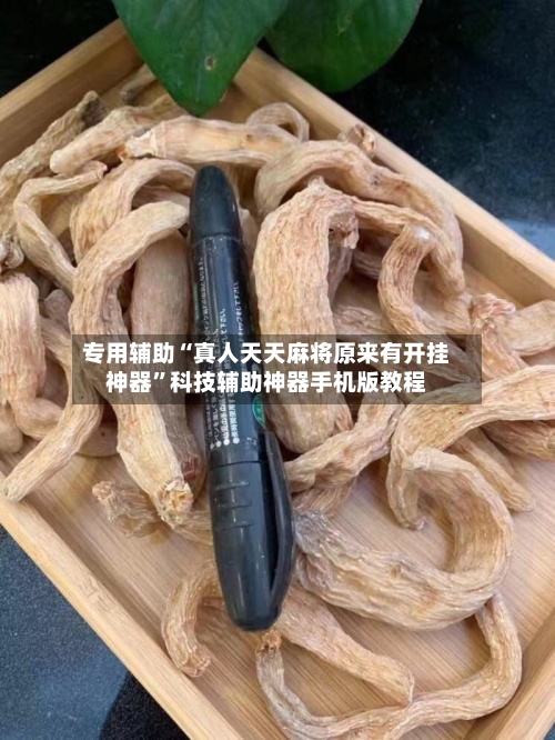 专用辅助“真人天天麻将原来有开挂神器”科技辅助神器手机版教程-第3张图片
