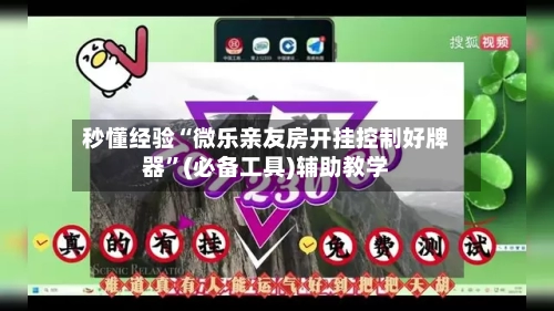 秒懂经验“微乐亲友房开挂控制好牌器”(必备工具)辅助教学-第2张图片