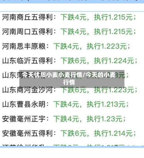 今天优质小麦小麦行情/今天的小麦行情