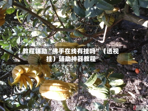 教程辅助“佛手在线有挂吗”（透视挂）辅助神器教程-第2张图片