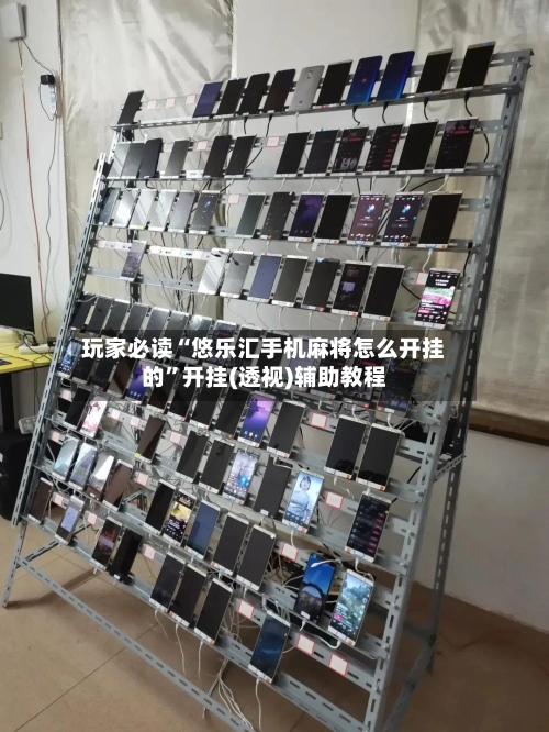 玩家必读“悠乐汇手机麻将怎么开挂的”开挂(透视)辅助教程-第3张图片