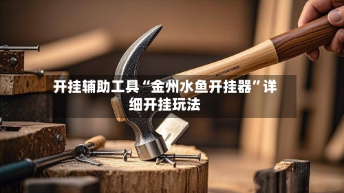 开挂辅助工具“金州水鱼开挂器	”详细开挂玩法-第2张图片