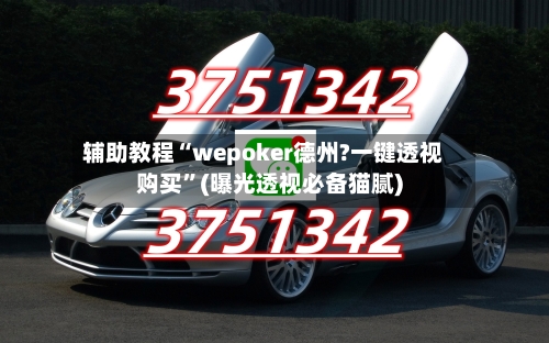 辅助教程“wepoker德州?一键透视购买	”(曝光透视必备猫腻)-第2张图片