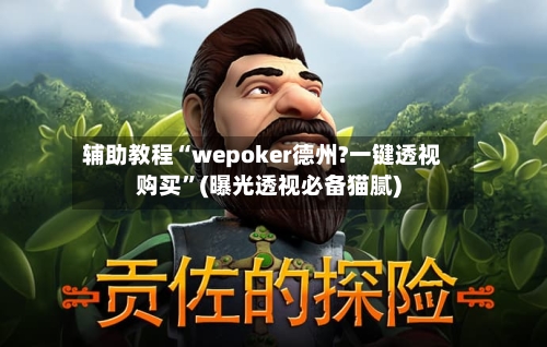 辅助教程“wepoker德州?一键透视购买”(曝光透视必备猫腻)-第3张图片