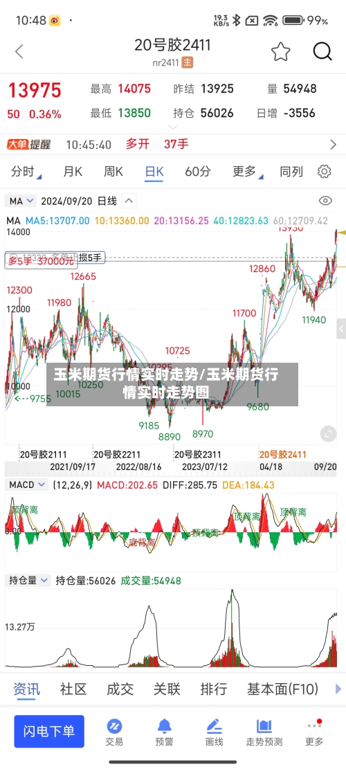 玉米期货行情实时走势/玉米期货行情实时走势图