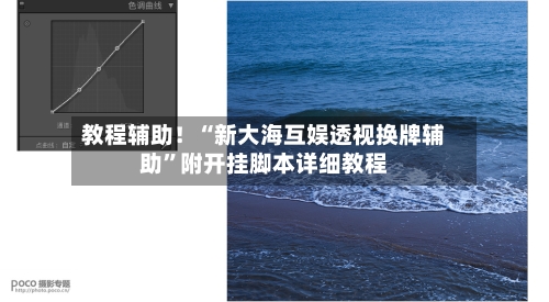 教程辅助！“新大海互娱透视换牌辅助”附开挂脚本详细教程-第2张图片