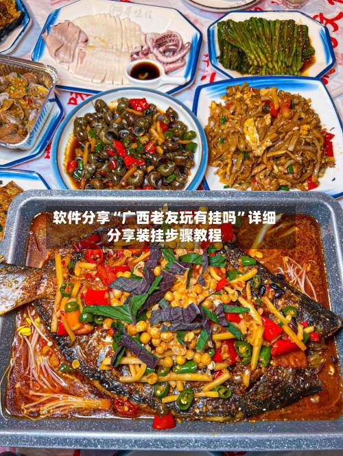 软件分享“广西老友玩有挂吗”详细分享装挂步骤教程-第2张图片