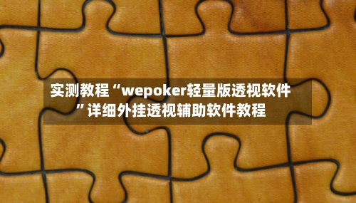 实测教程“wepoker轻量版透视软件”详细外挂透视辅助软件教程
