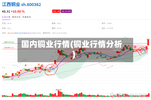 国内铜业行情(铜业行情分析)